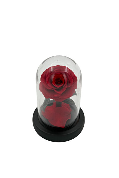 B&D B&D Décor Flower Glass Tube with Small Red rose