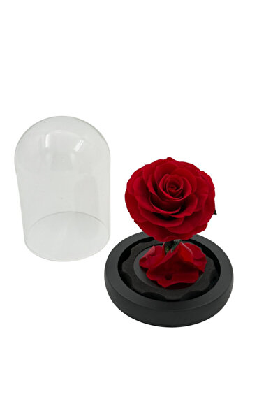 B&D B&D Décor Flower Glass Tube with Small Red rose