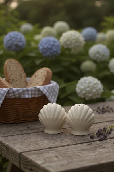 iQey Home Set of 2 Sea Shell Salt and Pepper Shakers Ceramic White