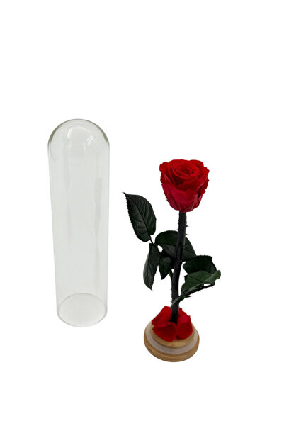 B&D B&D Décor Flower Tube with Medium Red rose