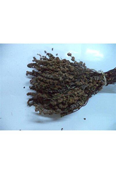 Aktar Depo Altın Otu Kahverengi Demet