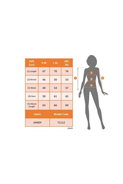 JANES    Women's Long Sleeve Chest Window Detail Lapel Turtleneck Sleeves Tulle Sandy Blouse