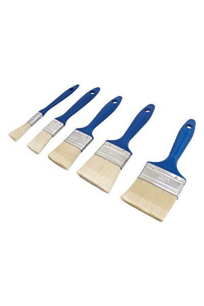 SATRA Set de pensule de pictură, 5 bucăți, S-5 PBH