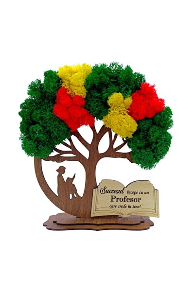 OEM Brad decorativ cu lichen stabilizat și mesaj pentru profesor – cadou pers...
