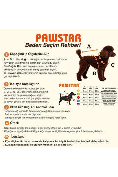 Pawstar Kırmızı Seattle Storm Good Energy Nakışlı Köpek Sweati Köpek Kıyafeti Kedi Kıyafeti