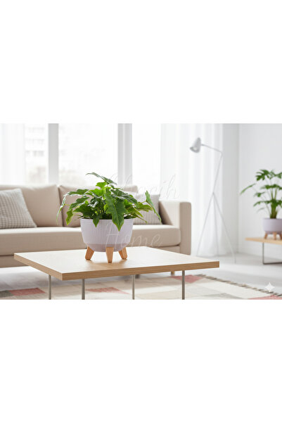 okacih Modern Stick Line Bambu Ayaklı Saksı Akıllı Altlıklı 19x16 Cm 3 Litre