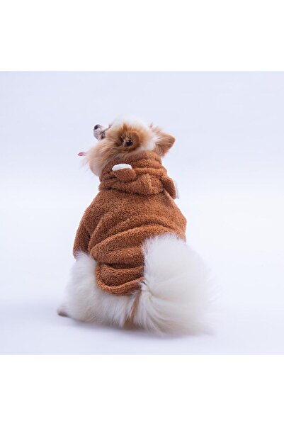 Pawstar Kahverengi Lucca Teddy Hoodie Ayı Kulaklı Peluş Köpek Kıyafeti Kedi Kıyafeti Köpek Sweati