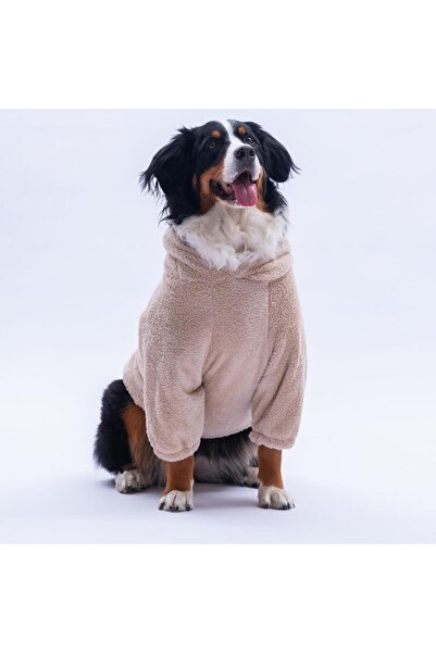 Pawstar Bej Lucca Teddy Hoodie Ayı Kulaklı Peluş Orta Büyük Irklar Köpek Kıyafeti Köpek Sweati