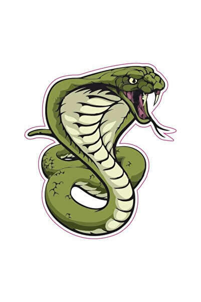 Generic Brand Embossed Snake Engine and Car Sticker Measures 8.5X7.5 cm