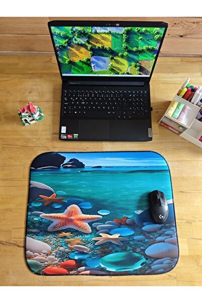 sgeteknoloji Sge Technology 55X45 cm Pebble Sea Star Anti-Slip Base Speed Surface Gamer Mouse Pad Gaming Pad