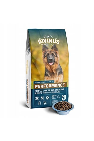Other Divinus Performance Hrană uscată pentru câini Ciobănesc German 20 kg
