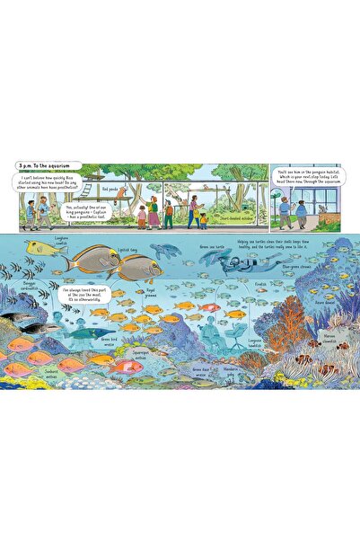 Usborne 24 Hours in a Zoo