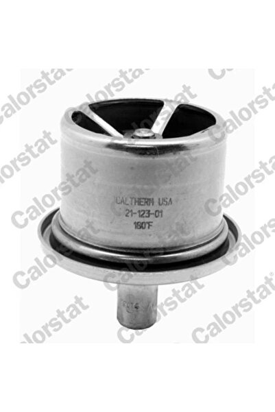 CALORSTAT by Vernet Termostat Lichid Racire Daf 95 Xf