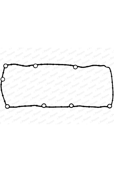 PAYEN Garnitura Capac Supape Nissan Kubistar Caroserie Renault Clio 2/Clio Sy...