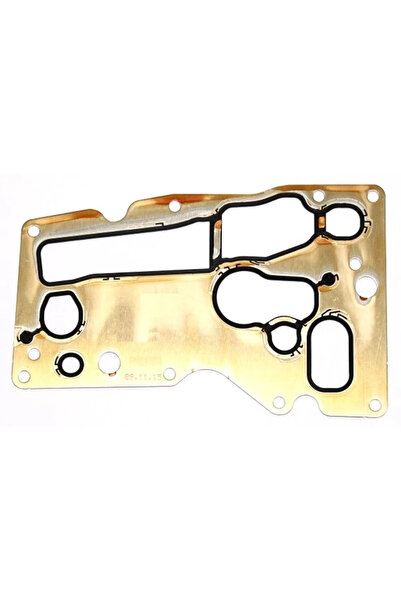 ELRING Etansare, Racire Ulei Spre Motor 733.500 Bmw 5/5 Touring/7