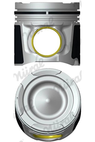 NÜRAL Piston Man Hocl/Lion S Mex/Tga 2004-2022