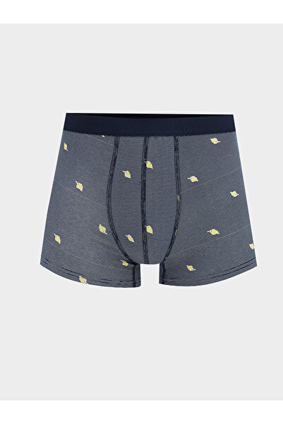 LC Waikiki Vizyon New Season Standard Mold με τύπωμα Ανδρικά μποξεράκια 3-συσκευασία