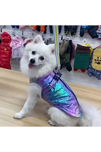 Lady Fify Waterproof Reflective Gradient Vest for Cat and Dog