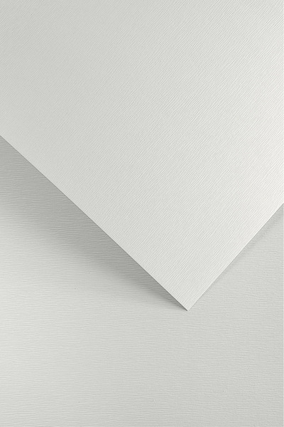 Other Hârtie decorativă cu scoarță /20 buc/ 230g Galeria Papieru 201501 ALB