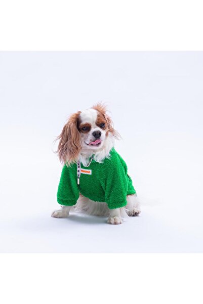 Pawstar Yeşil Oslo Chill Urban Moods Peluş Köpek Kıyafeti Kedi Kıyafeti Köpek Sweati