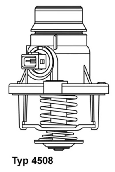 BorgWarner (Wahler) Termostat Lichid Racire Bmw 5/6/7 Rolls-Royce Ghost 1/Pha...