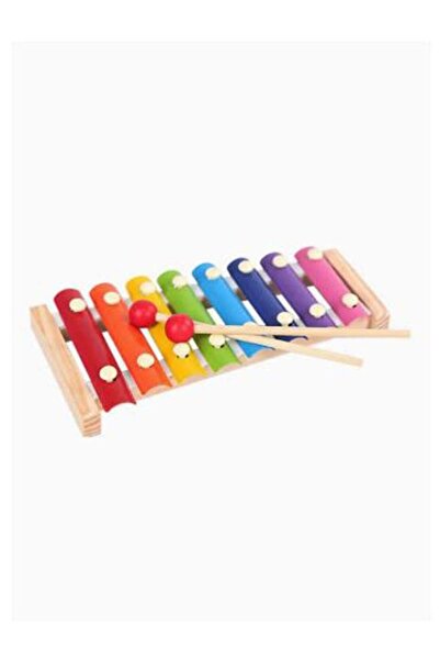 COOYA Early childhood vocal and music education toys