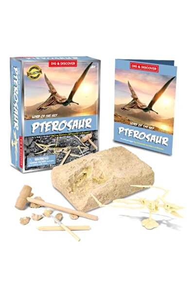 Granst Stag Set educativ cu dinozauri, Pterozaur, 15x10cm, plastic, 6 ani+