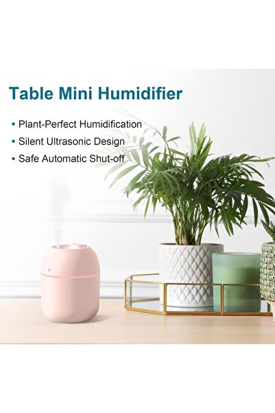 Other Portable Mini Humidifier (220ml, Pink) — USB Personal Desktop Humidifier with Auto Shut-off & Two