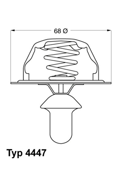 BorgWarner (Wahler) Termostat Lichid Racire Citroen Xantia/Xm Peugeot 406/605