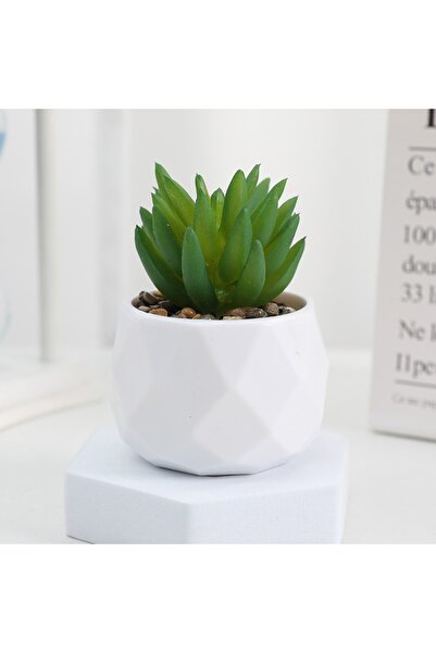 Choice نباتات بونساي اصطناعية محاكاة نباتات عصارية صغيرة دائمة الخضرة بونساي صبار عصاري P.