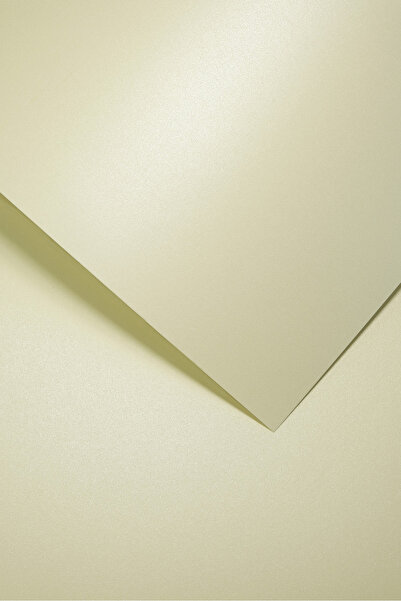 Other Hârtie decorativă Millenium /20 buc/ Galeria Papieru 220g CREM