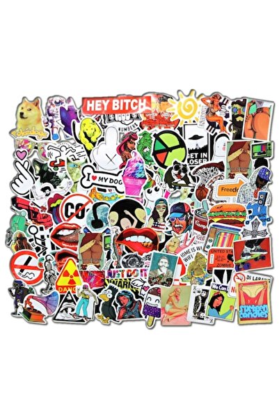 OEM Set Stickers 100 pieces Waterproof "Random"