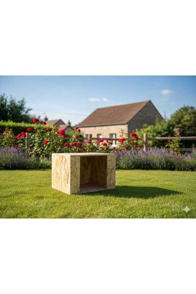 DivanAhşap DIŞ MEKAN KEDİ KÖPEK MAMA İSTASYONU