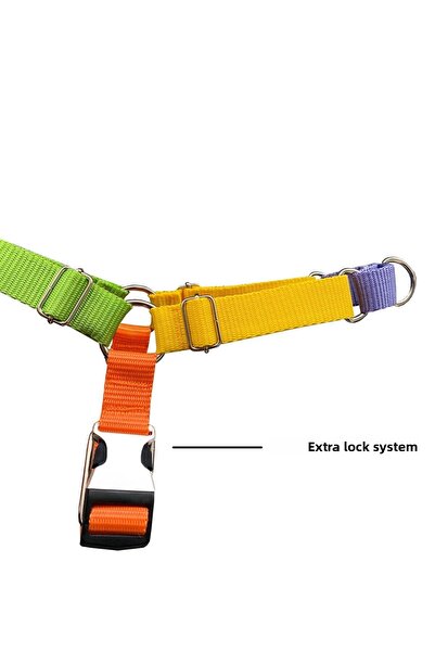 Jimi pet Paco Easy Walk Front Pull Chest Collar