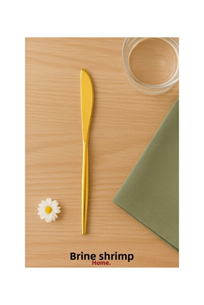 DMR LİFE New Vega Gold Dinner Knife Set (6 Pieces)