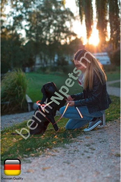 KERBL Chest Harness Reflective 60 - 75 cm