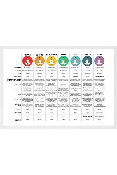 TELLGRAF Yoga and Chakra Themed Poster (35X50 cm)