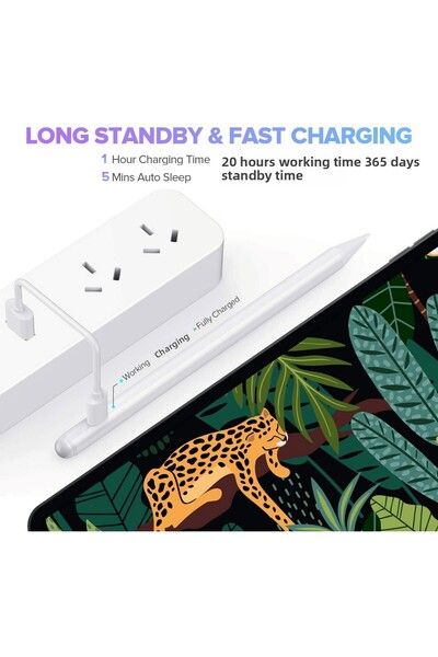 Fuchsia Apple iPad Compatible - Touch Writing Drawing Pen with Palm Rejection