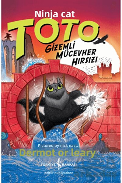 TÜRKİYE İŞ BANKASI KÜLTÜR YAYINLARI Ninja Cat Toto - Μυστηριώδης κλέφτης κοσμ...