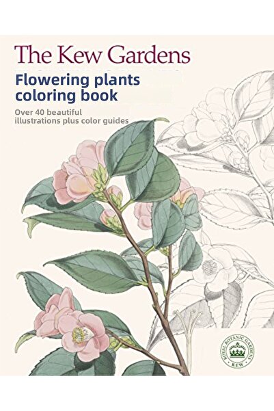 Arcturus Publishing The Kew Gardens Flowering Plants Colouring Book: Over 40 ...