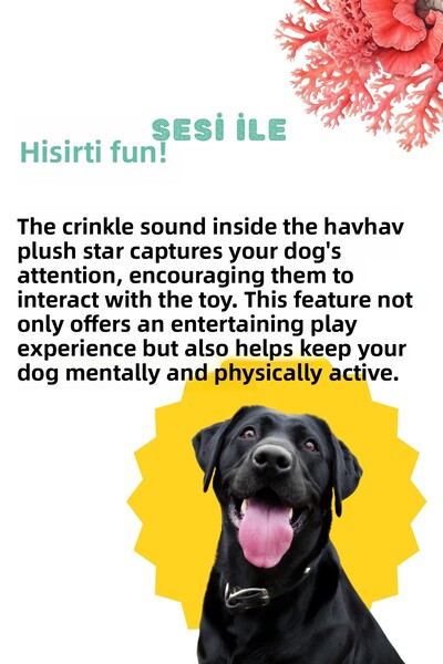 Havhav Star Plush Dog Toy Sound-Making Teething Toys Tugging and Chasing Toys