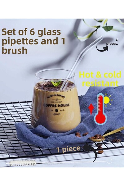 PİNK DESİGN KİTCHEN 6-Piece Thick Glass Straws and Thermosilicate Brush - Heat Resistant