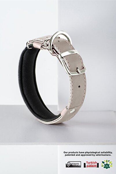 pasiole Dog Collar, Dog Collar, Large and Medium Breed Dog Collar - Benef