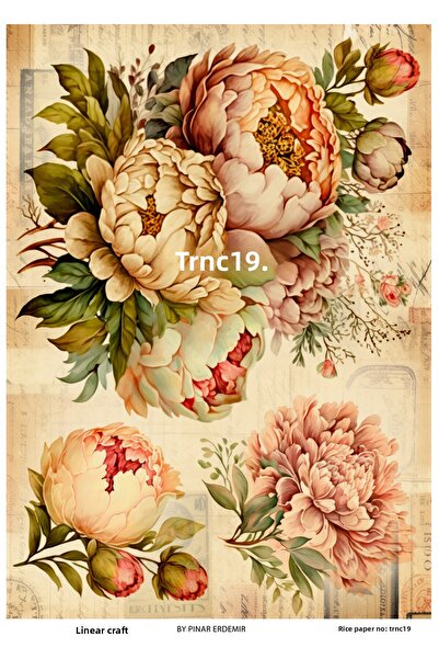 LİNEART زخرفة نحاسية - ورق موديل TRNC19