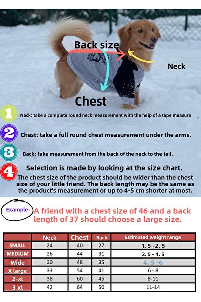 Barneystore القط الكلب قلادة رياضي