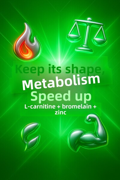 VİTASENT Energy & Form Pack – All-Day Energy, Focus, and Weight Loss Support with Focus and Pro Slim