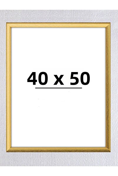AS TİCARET 40X50 Frame (Without Poster) - Bos1002 (Color: Gold)