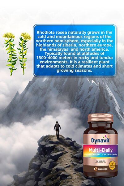 Dynavit مكمل غذائي يومي متعدد الفيتامينات والطاقة يحتوي على 13 فيتامين و7 معادن وإنزيم Q10 وروديولا (30 كبسولة × 2)