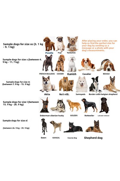 HESPERUS طوق للكلاب، طوق للجسم والصدر، طوق للمشي مريح ومريح