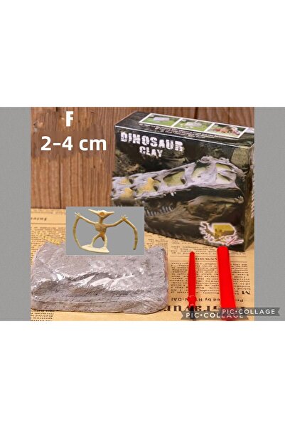 AZİZ OYUNCAK Archaeological Excavation Kit Pteronodon Dinosaur Fossil Science Educational Set 8X9Cm